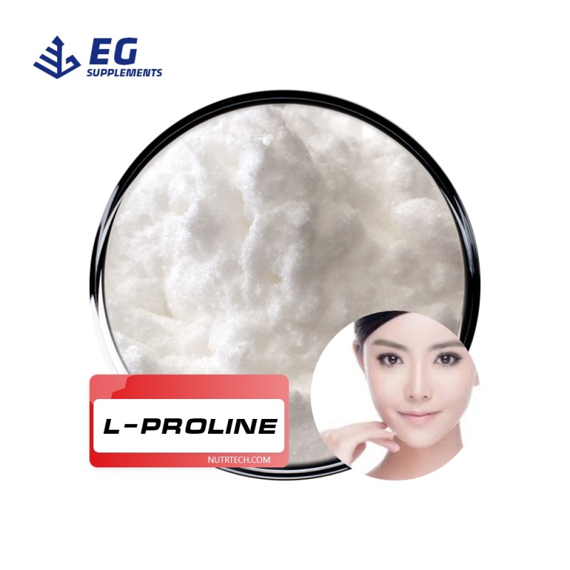 L-Proline Powder Manufacturer - Microwave Food Grade Healthcare Supplement