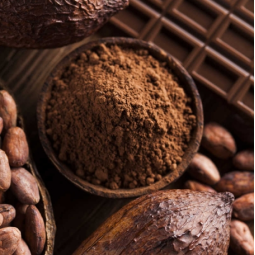 Cocoa Powder Supplier - China Wholesale Price Bulk 25kg Natural