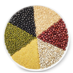 Resistant Starch RS4 Supplier - Organic From Plants Bulk