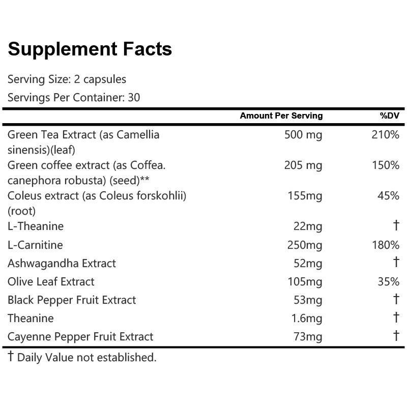 Moringa Extract Capsules Factory - Herbal Supplement Not for Pregnancy