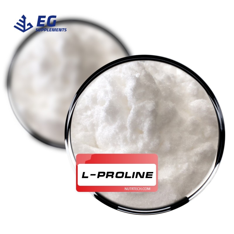 L-Proline Powder Manufacturer - Microwave Food Grade Healthcare Supplement