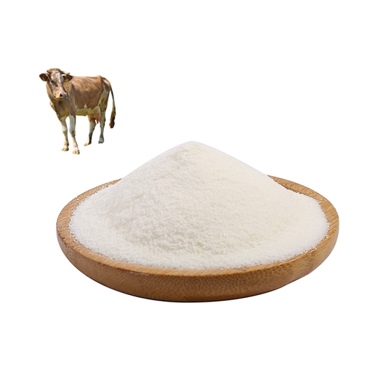 Bovine Collagen Powder Supplier - Hydrolyzed Peptide Type 1 Granules