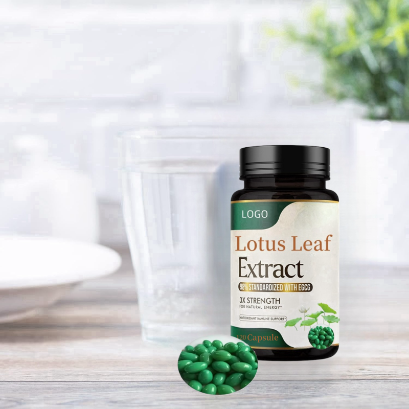 Slimming Capsules Supplier - Lotus Leaf Green Tea Natural Extract