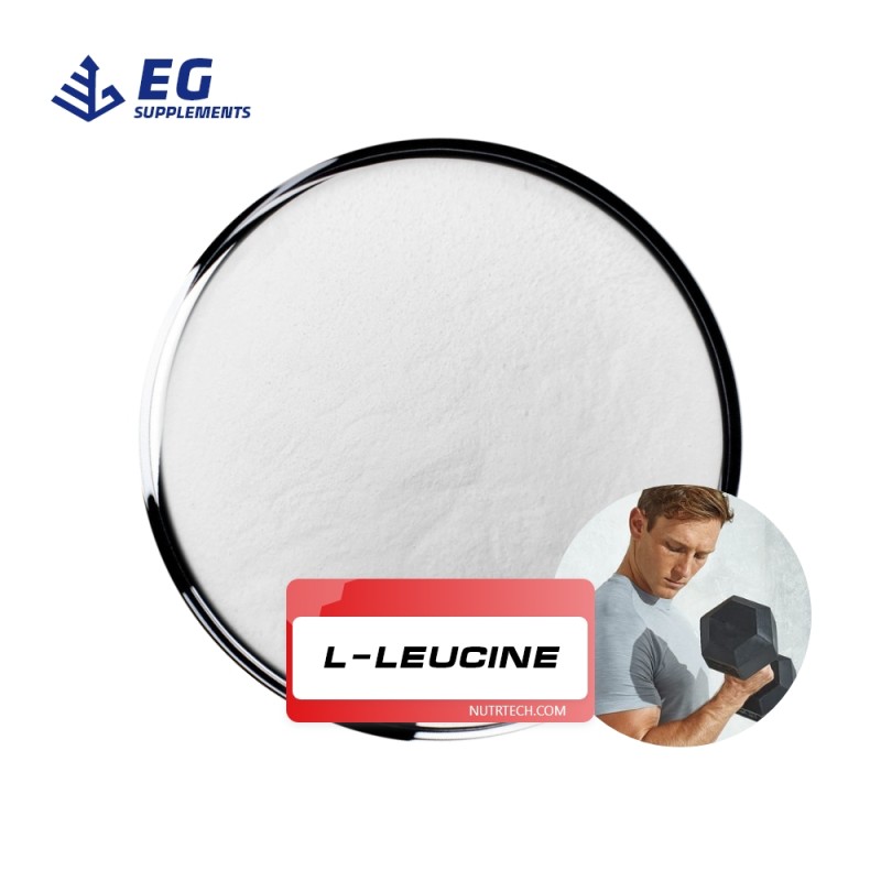 Leucine Raw Powder Factory - High Quality for Health Supplement