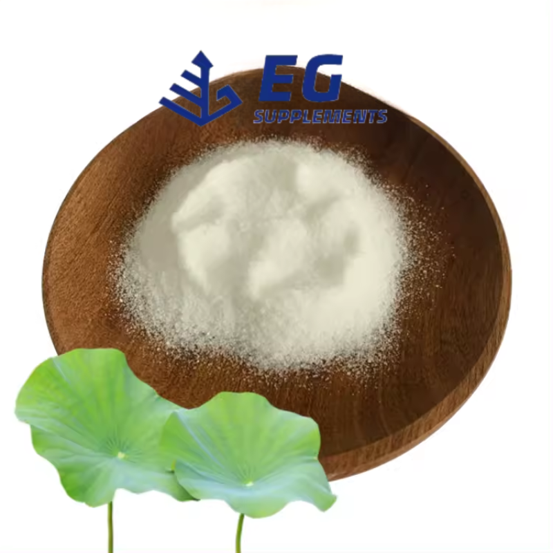 Slimming Capsules Supplier - Lotus Leaf Green Tea Natural Extract