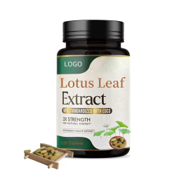 Lotus Leaf Extract Manufacturer - Tablets Powder Capsules Dietary Supplement