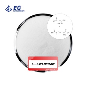 L-Leucine Powder Supplier - Food Grade China Factory Direct Supply