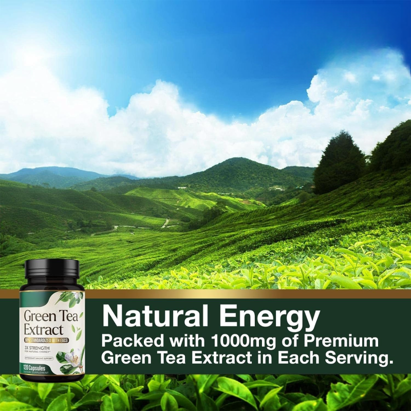 Weight Loss Capsules Factory - Green Tea Soft Hard Capsules Free Sample