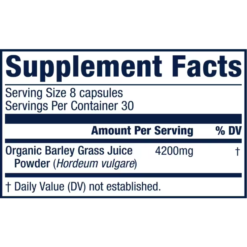 Barley Grass Powder Supplier - Pure Natural Green Wheatgrass Extract