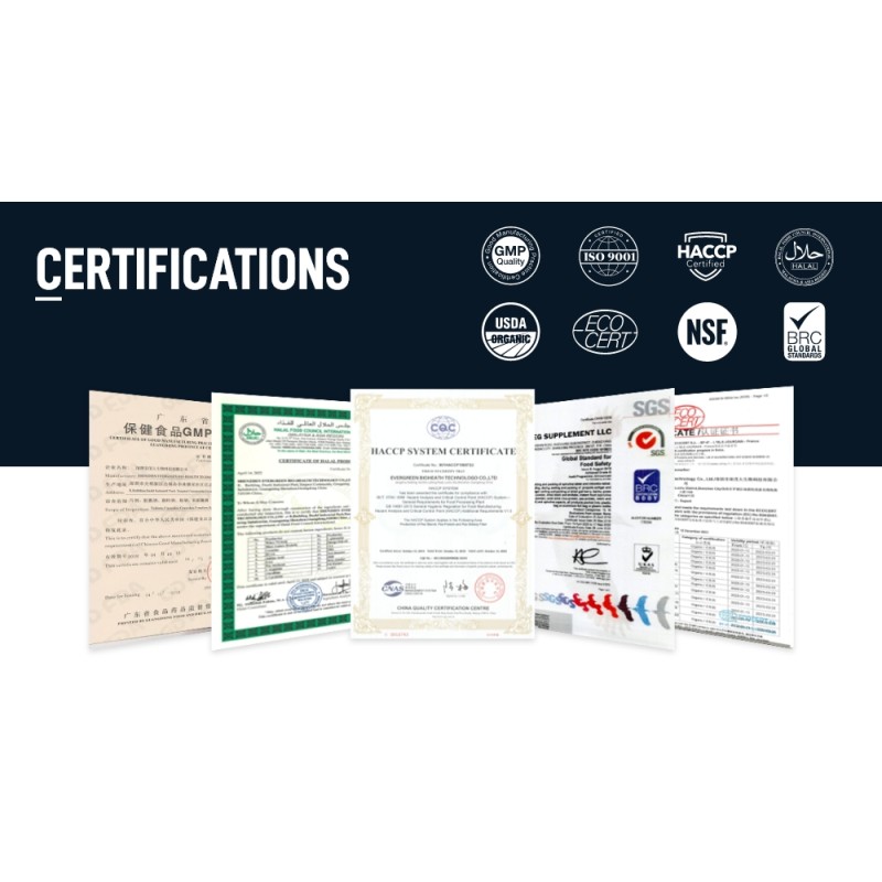 Pea Protein Powder Manufacturer - Organic Gluten Free Super Greens