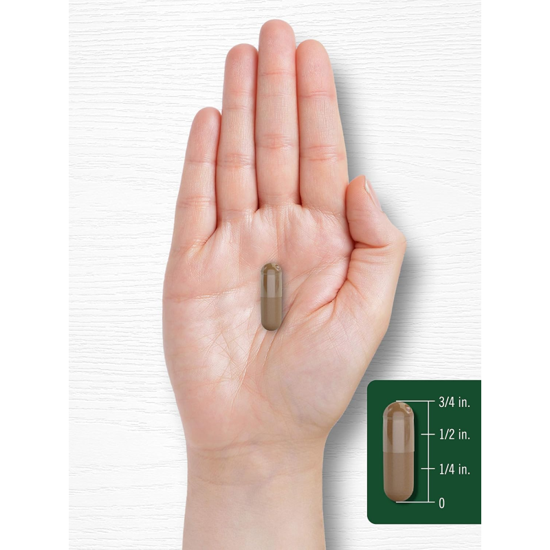 Valerian Extract Supplier - Officinalis Root Acid Powder Capsules