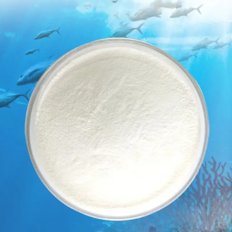 Marine Collagen Powder Factory - 100% Hydrolyzed Fish Peptide Beauty