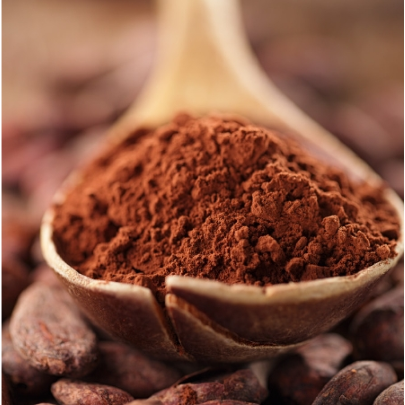 Cocoa Powder Factory - Wholesale Bulk 25kg Natural High Quality