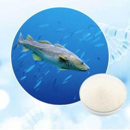 Marine Collagen Powder Factory - 100% Hydrolyzed Fish Peptide for Beauty