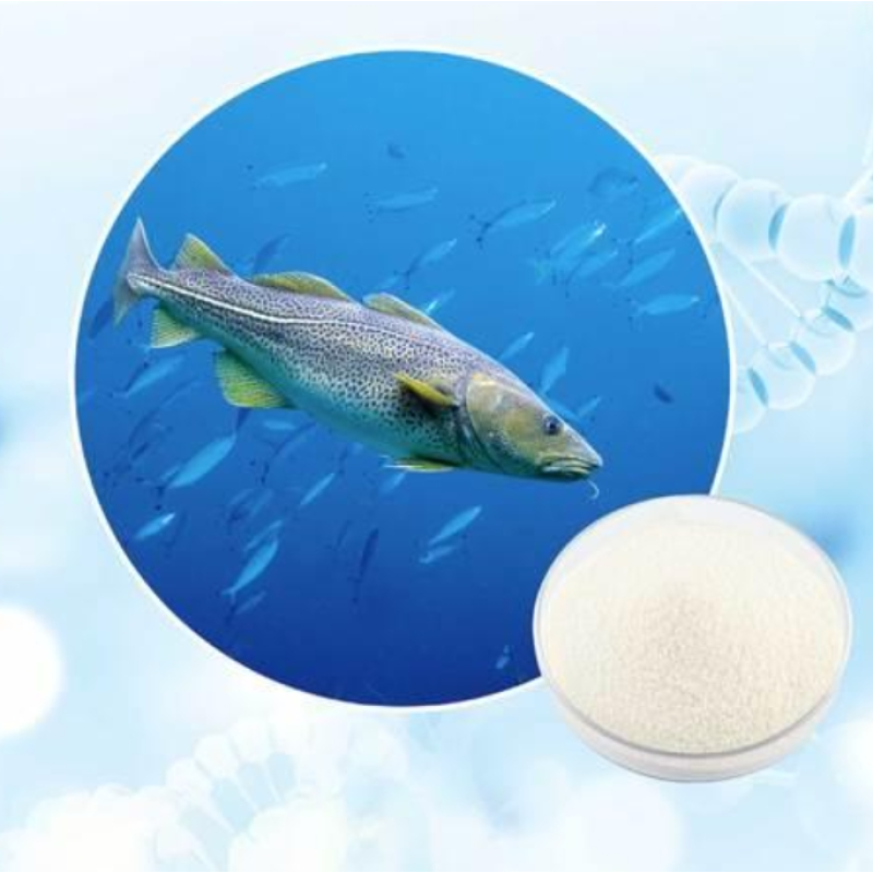 Marine Collagen Powder Factory - 100% Hydrolyzed Fish Peptide Beauty
