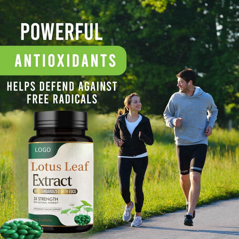 Slimming Capsules Supplier - Lotus Leaf Green Tea Natural Extract