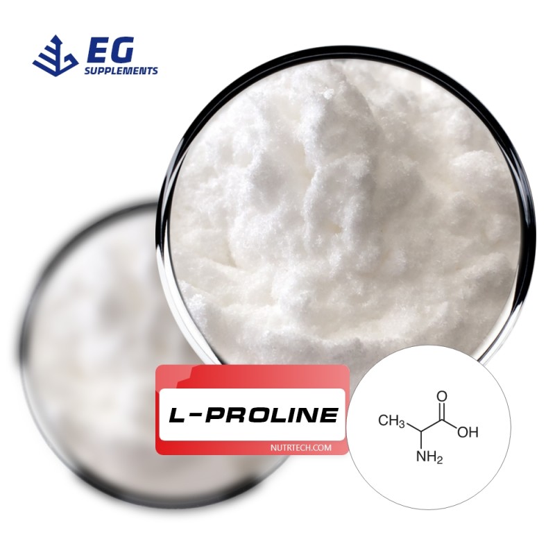 L-Proline Powder Manufacturer - Microwave Food Grade Healthcare Supplement