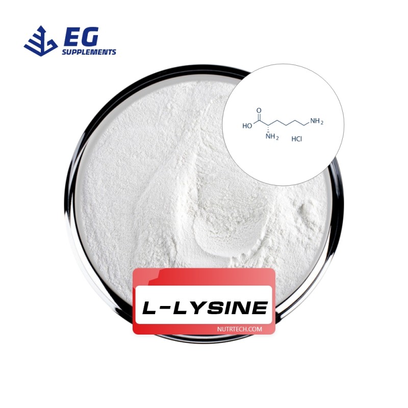 Lysine HCL Factory - Factory Price Nutrition Enhancers Feed Additives