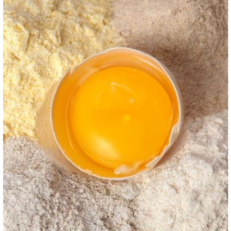 Egg Yolk Powder Manufacturer - Hydrolyzed Yellow for Pregnant Women Adults