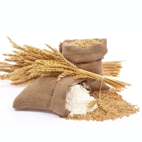 Oat Milk Powder Manufacturer - Organic Enzymolysis Enzymatic Hydrolysis