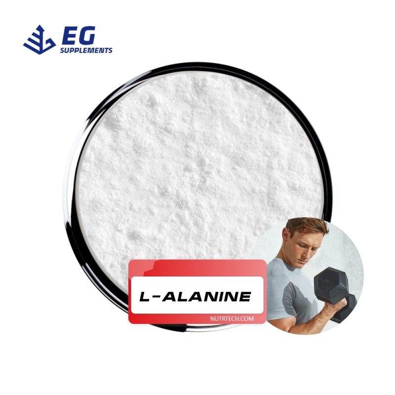 Beta Alanine Powder Manufacturer - L-Alanine Raw Powder Free Sample
