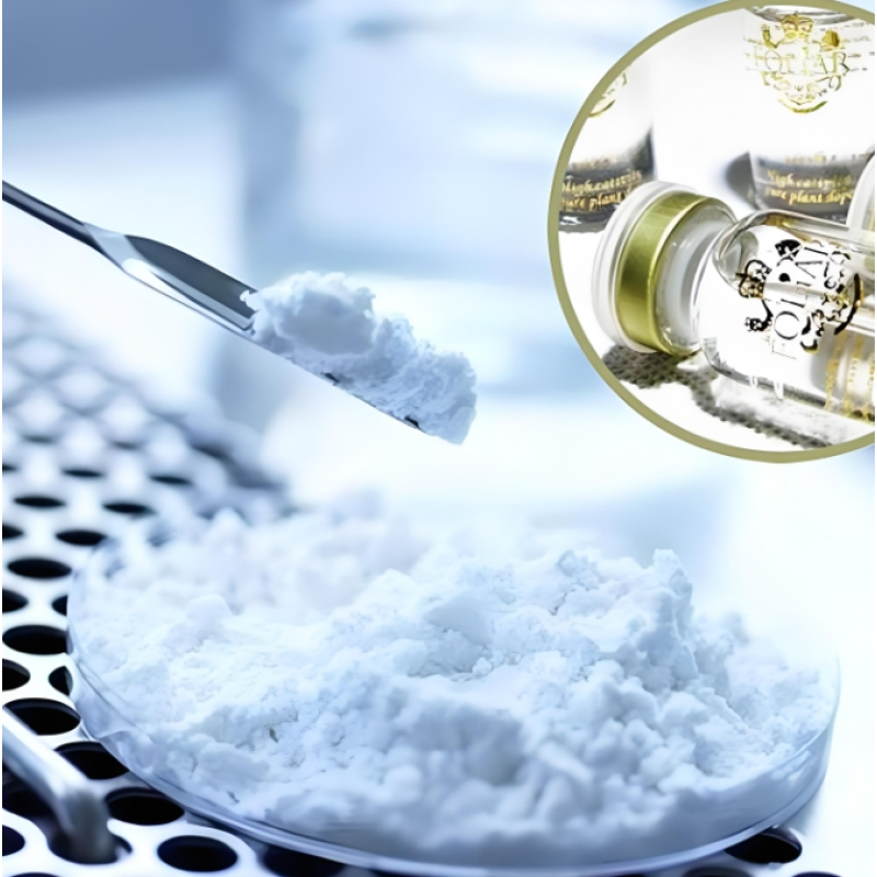 Sodium Hyaluronate Powder Supplier - Cosmetic Food Grade Bulk for Beauty