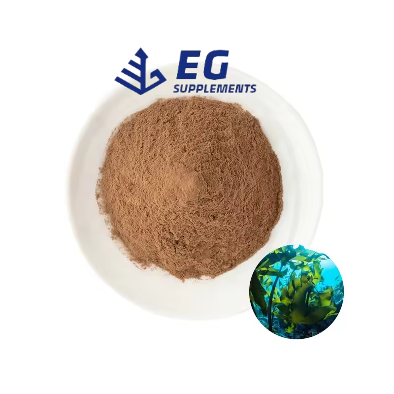 Sea Kelp Extract Factory - 100% Pure Burdock Root Seaweed Powder