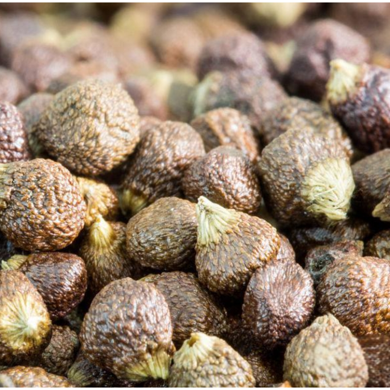 Piperine Extract Powder Supplier - Pure 90% 95% 98% Black Pepper