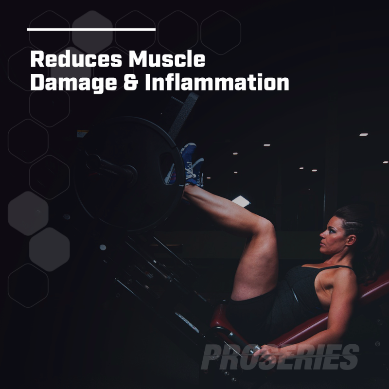 Creatine Powder Factory - Vegan Micronized Monohydrate Preworkout