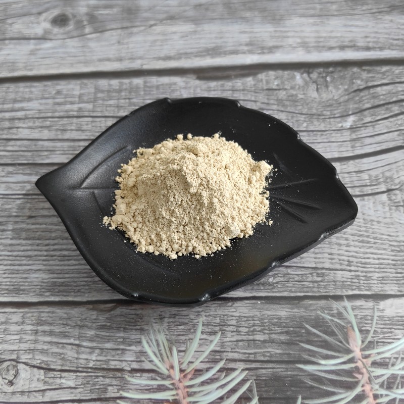 Loquat Leaf Extract Powder Manufacturer - Cosmetic Grade Ursolic Acid 20%-98%