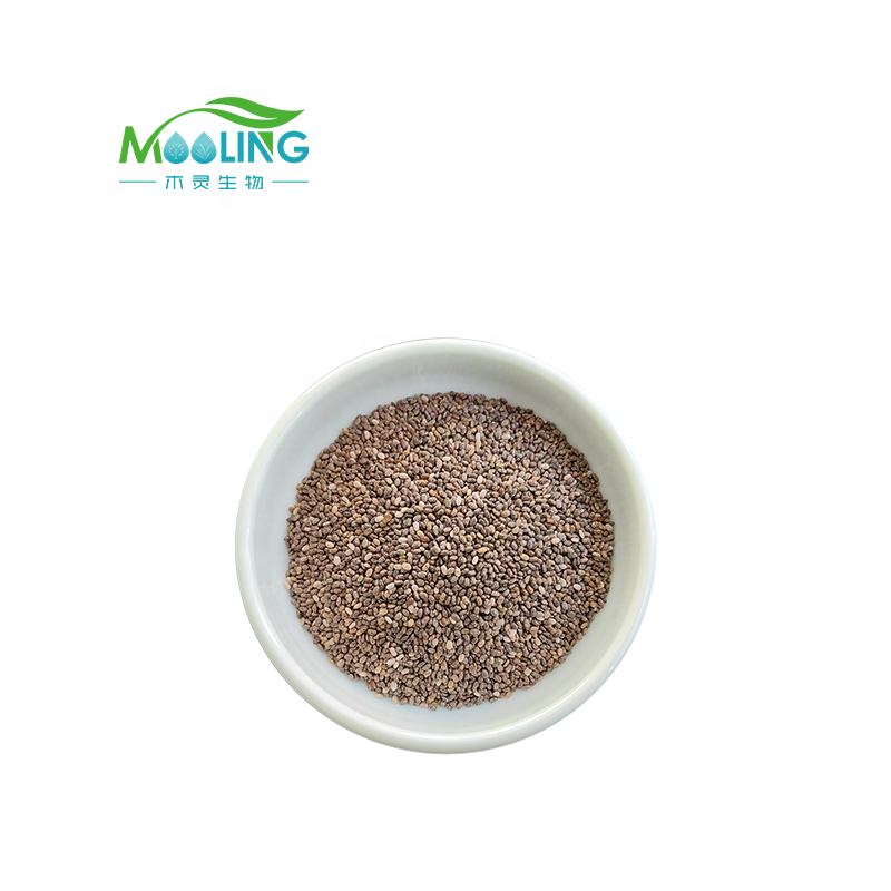 Chia Seeds Factory - Wholesale Dietary Supplement Black Seeds