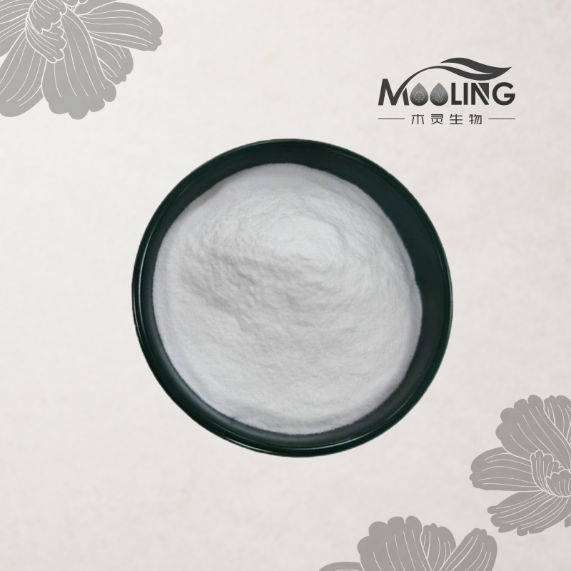 Alpha Arbutin Powder Manufacturer - 100% Pure High Quality Cosmetic