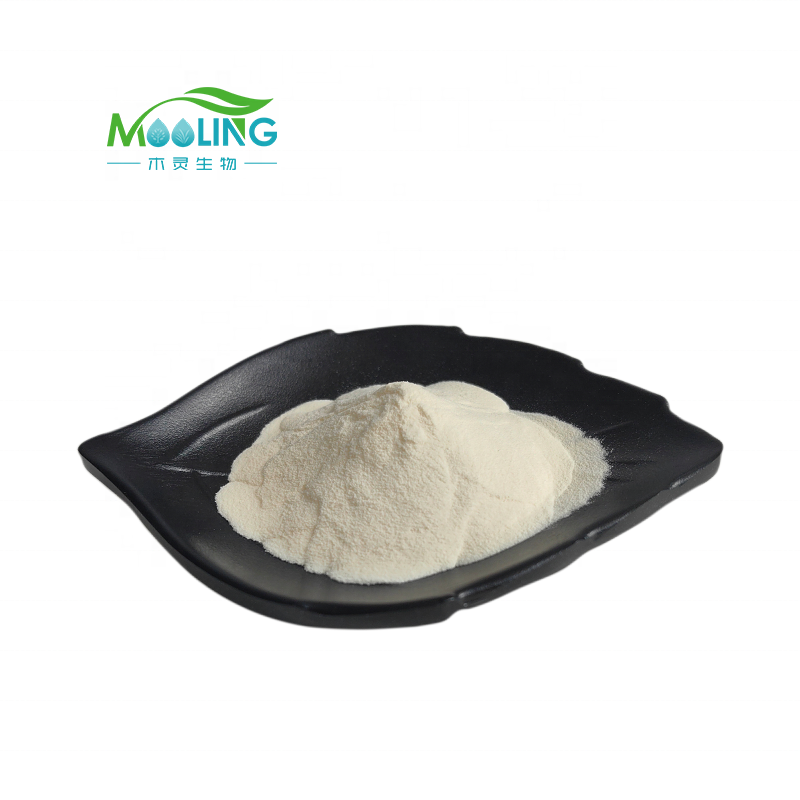 Kojic Acid Powder Manufacturer - Bulk Fast Delivery 99% Purity