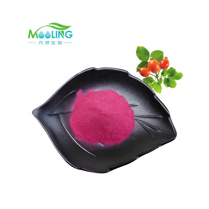Rosehip Powder Factory - Natural Supply Wholesale Fruit Extract