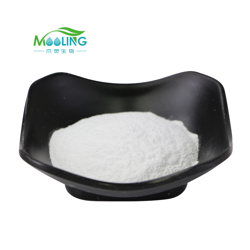 XOS Powder Factory - Xylo-oligosaccharide Digestive Health