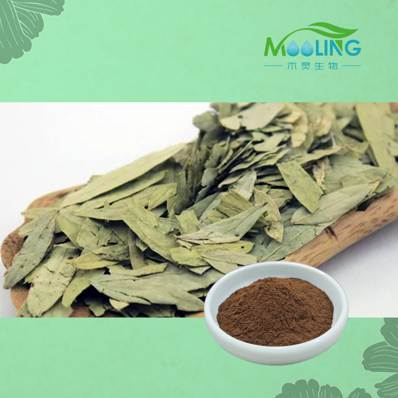 Senna Leaf Powder Manufacturer - Wholesale Water Soluble Senoside A&B