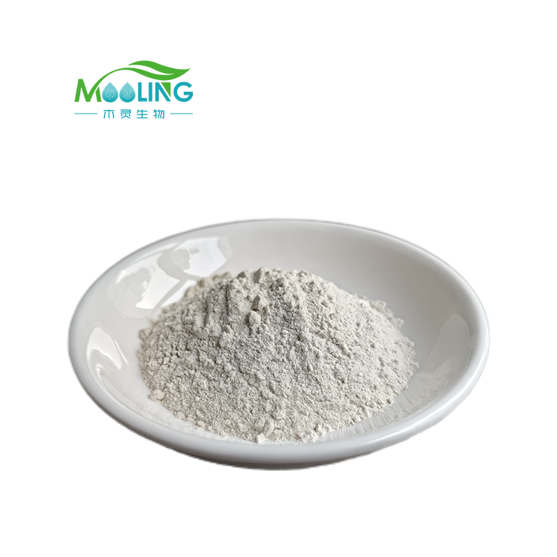 Enzymatic Detergent Booster Supplier - Low Temperature Bio Polish