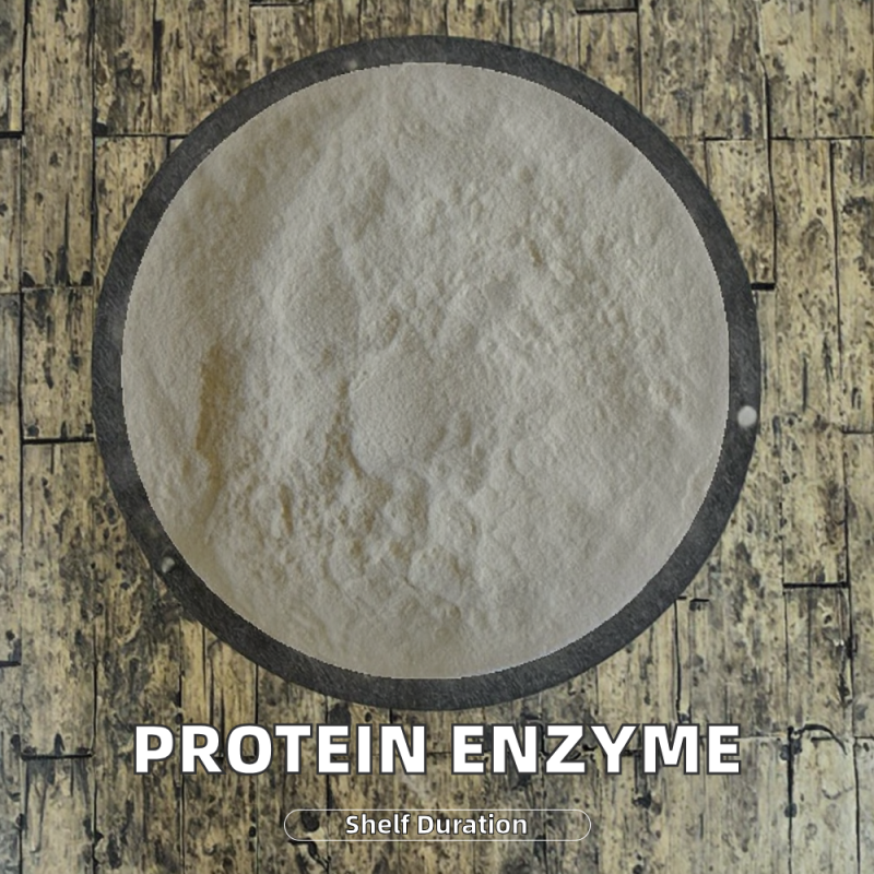 Acid Protease Enzyme Supplier - Food Beverage Brewing Protein