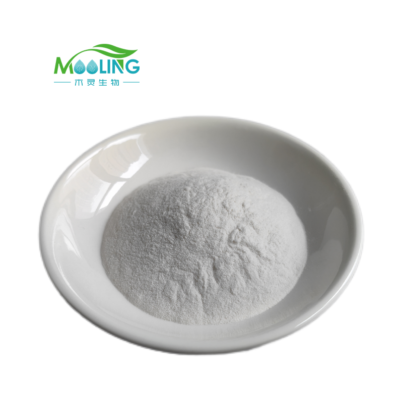 Acid Protease Enzyme Supplier - Food Beverage Brewing Protein