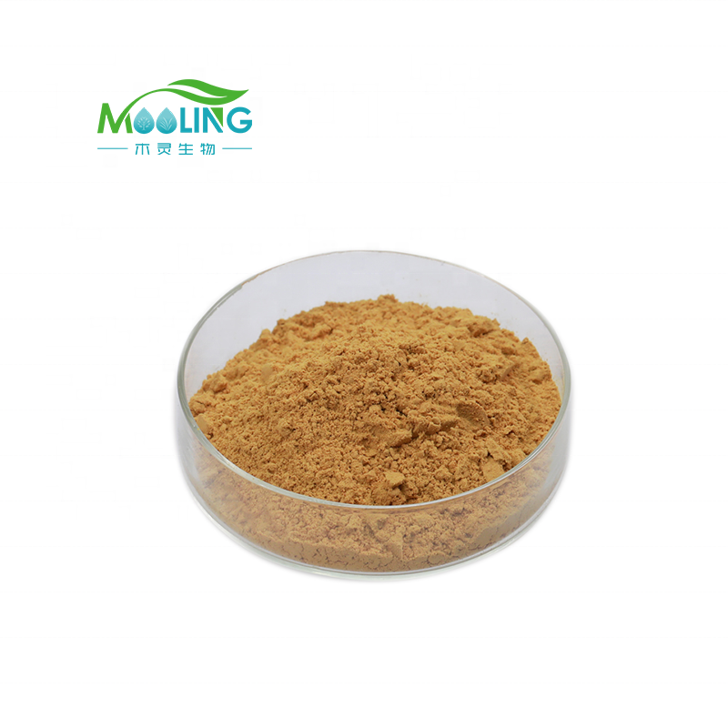 Milk Thistle Extract Factory - Herbal Supplements Silymarin Powder
