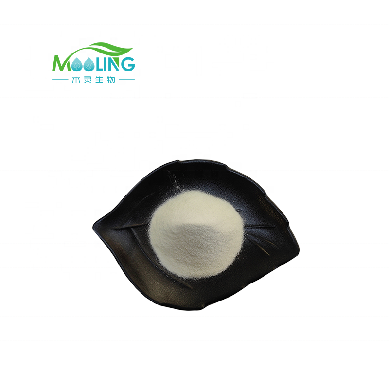 Kojic Acid Powder Manufacturer - Bulk Fast Delivery 99% Purity