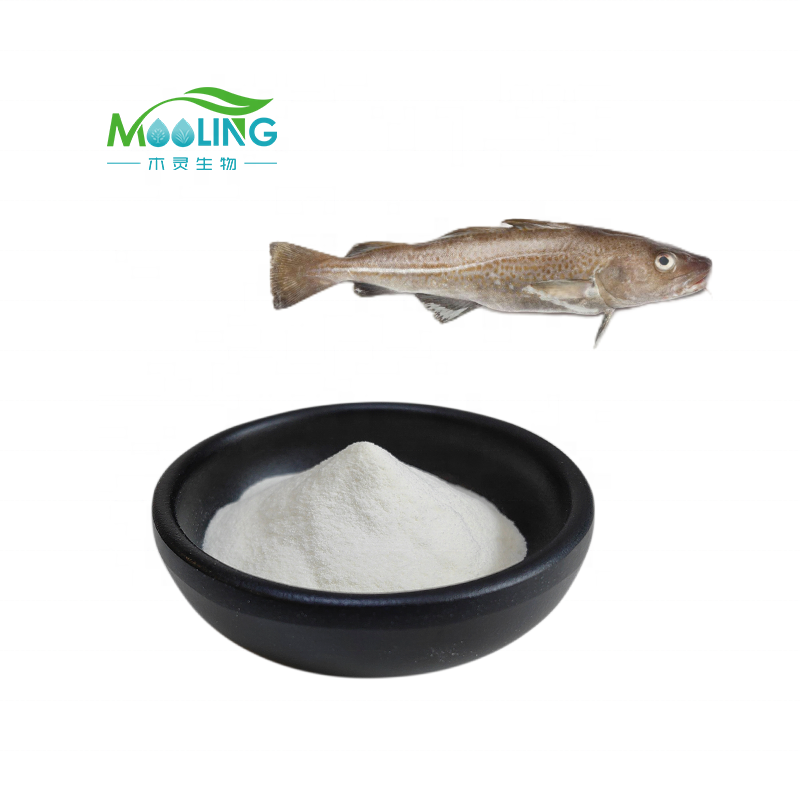 Fish Collagen Peptide Manufacturer - Hydrolyzed Cod Collagen CAS 9064-67-9