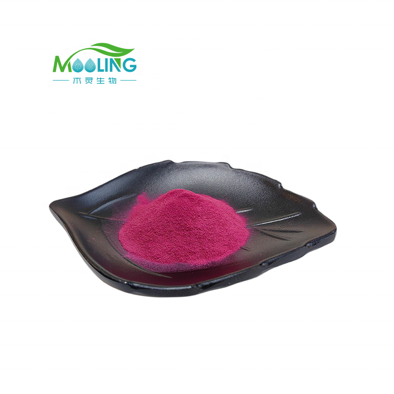 Rosehip Powder Factory - Natural Supply Wholesale Fruit Extract