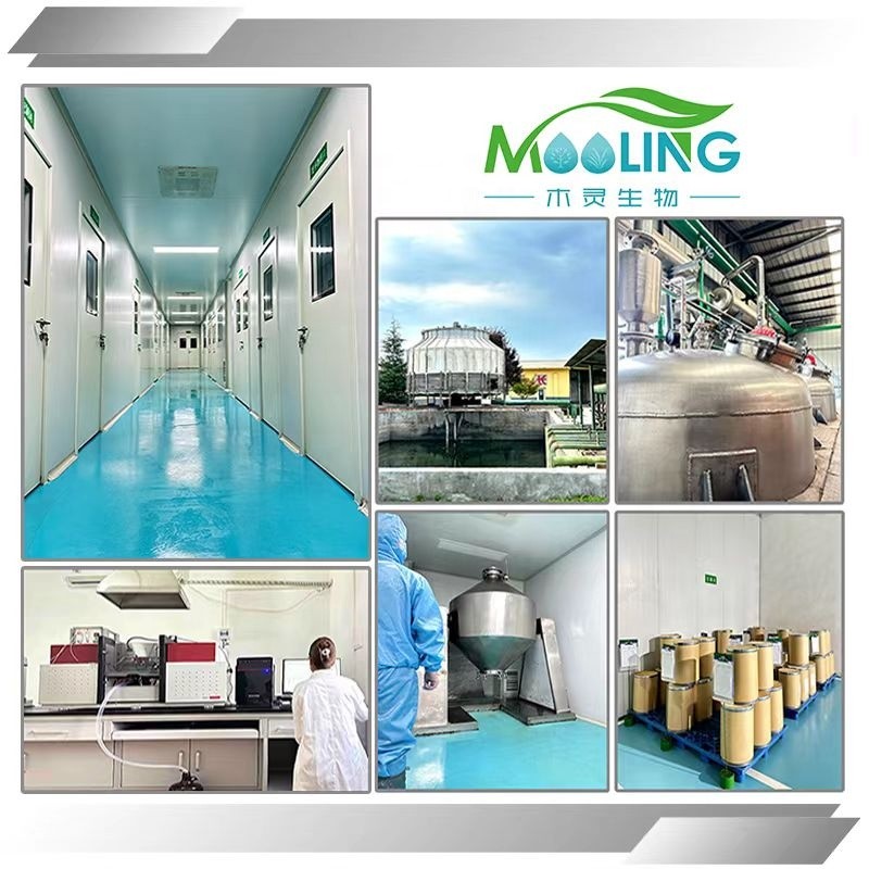 Fish Collagen Peptide Manufacturer - Hydrolyzed Cod Collagen CAS 9064-67-9