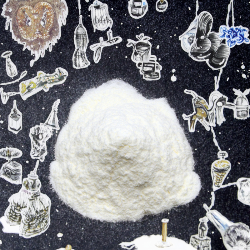 XOS Powder Factory - Xylo-oligosaccharide Digestive Health