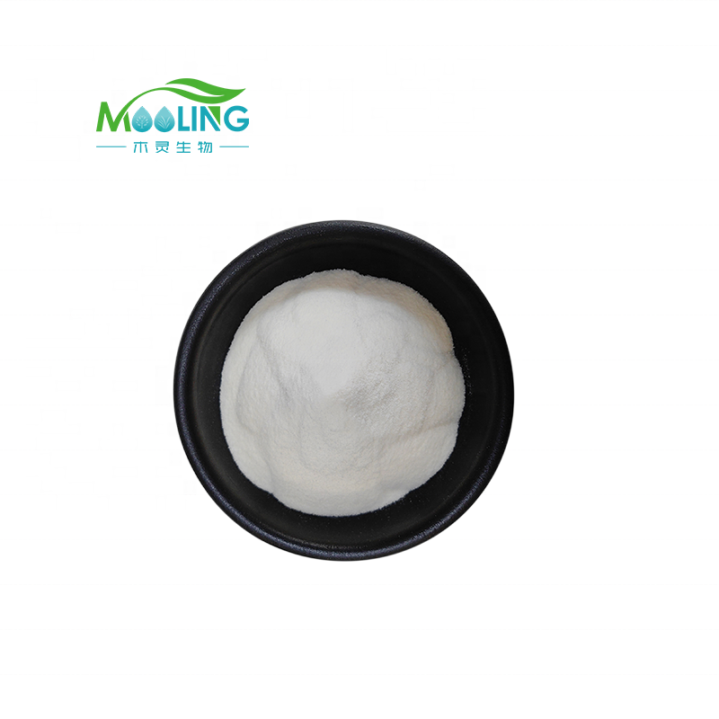 Fish Collagen Peptide Manufacturer - Hydrolyzed Cod Collagen CAS 9064-67-9