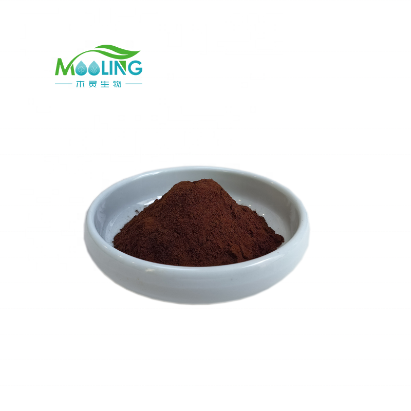 Senna Leaf Extract Powder Supplier - Factory Supply Senoside 20%