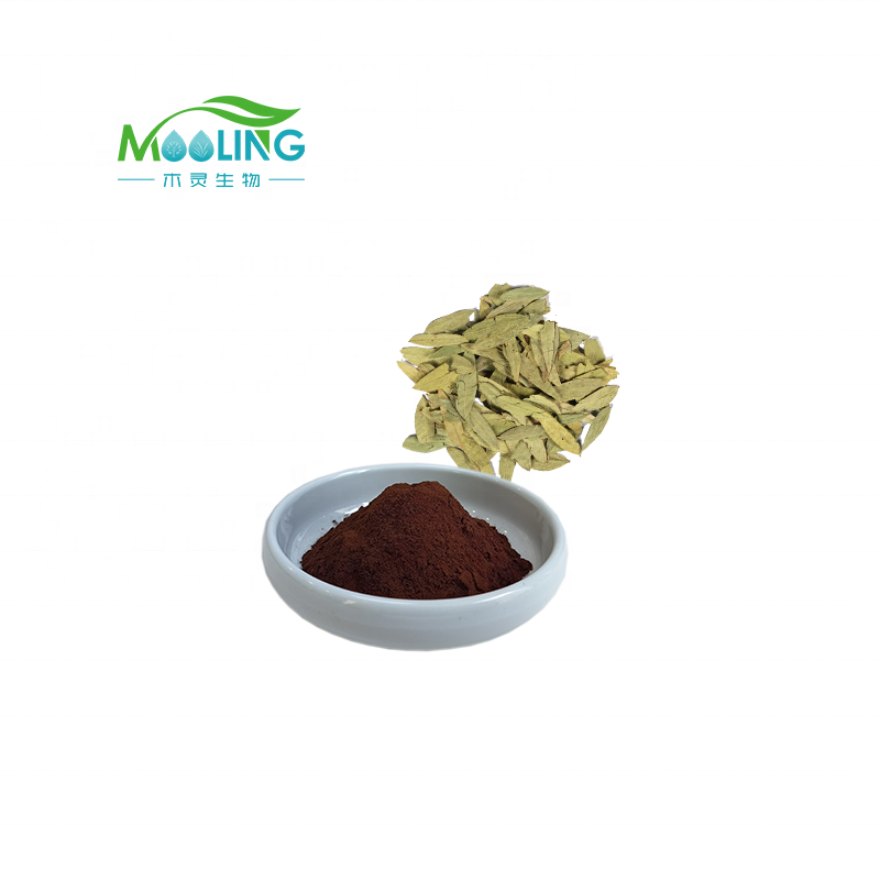 Senna Leaf Extract Powder Supplier - Factory Supply Senoside 20%
