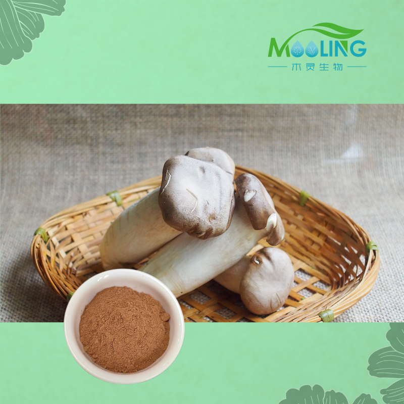 Pleurotus Extract Supplier - MOOLING Bulk 10:1 King Oyster
