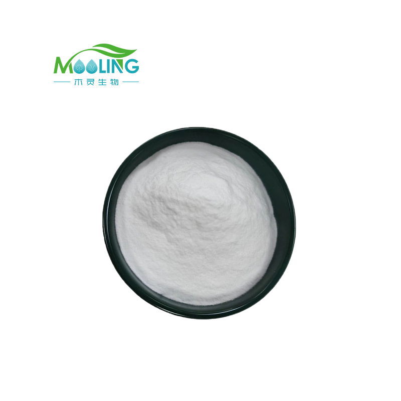 Alpha Arbutin Powder Manufacturer - 100% Pure High Quality Cosmetic